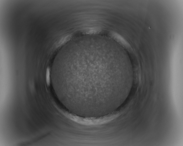 X0000085070022200703121651