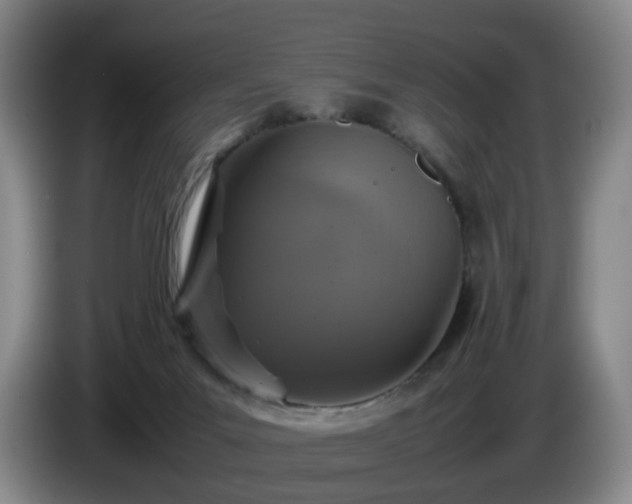 X0000085070023200703121651