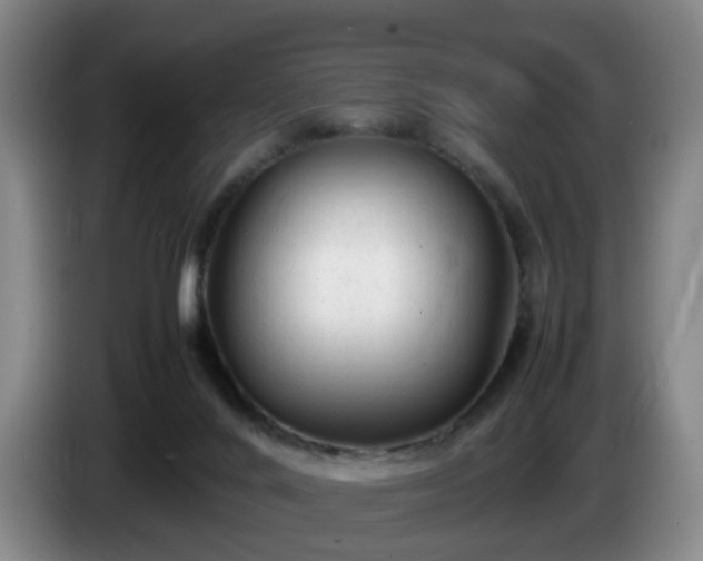 X0000085070024200703121651