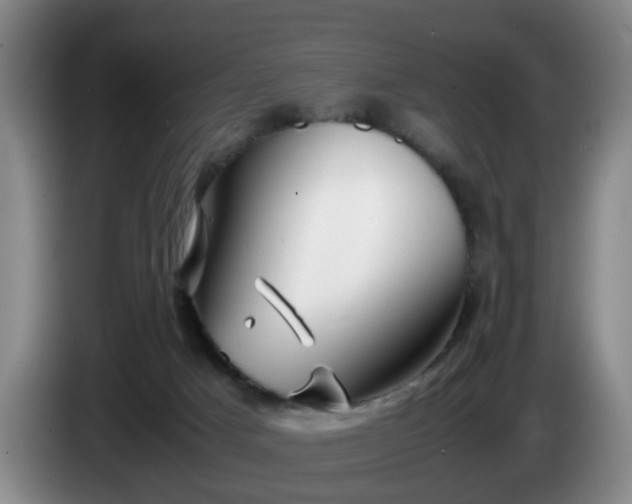 X0000085070025200703121651