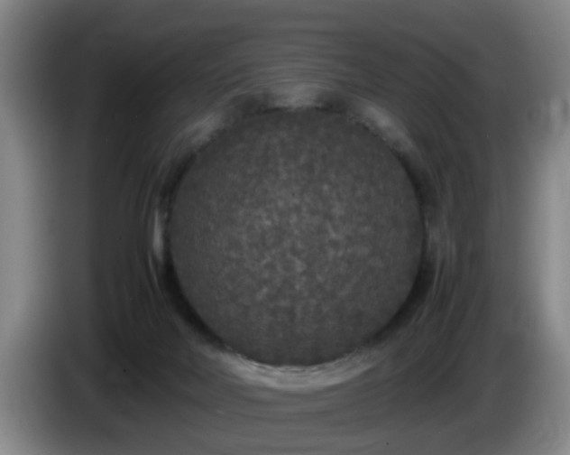 X0000085070026200703121651