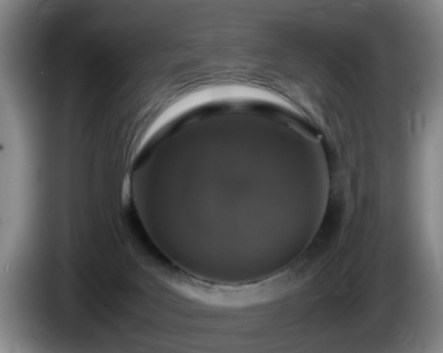 X0000085070027200703121651