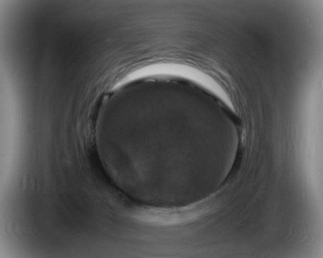 X0000085070029200703121651