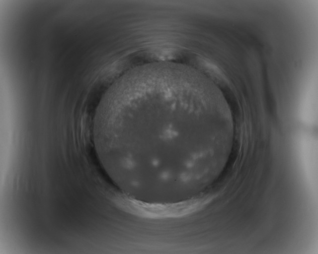 X0000085070030200703121651