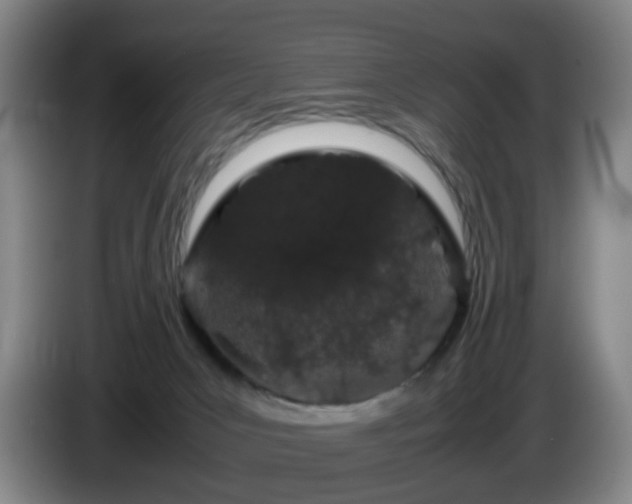 X0000085070031200703121651