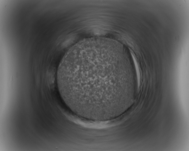 X0000085070032200703121651