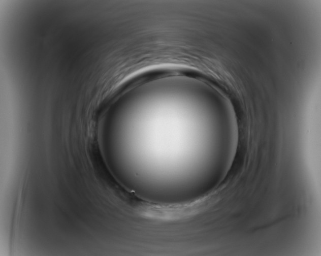 X0000085070033200703121651