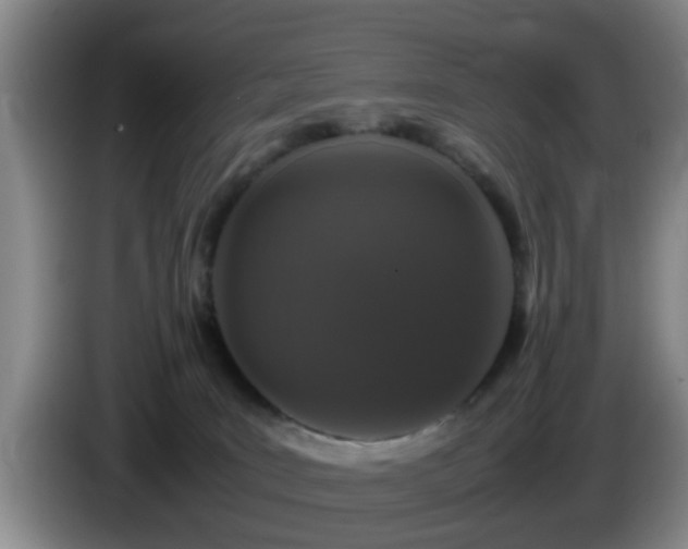 X0000085070035200703121651