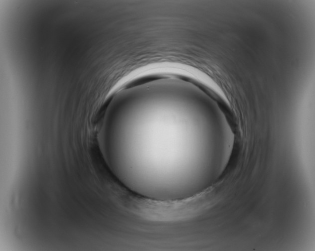 X0000085070037200703121651