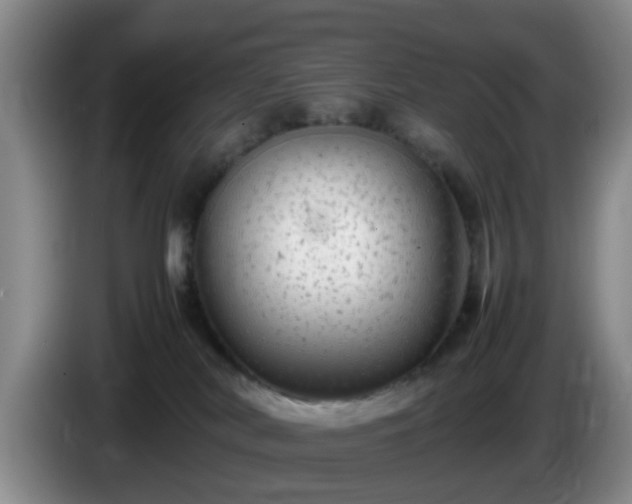 X0000085070038200703121651