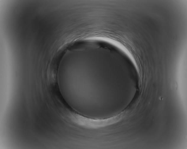 X0000085070039200703121651