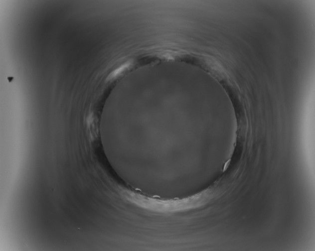 X0000085070043200703121651