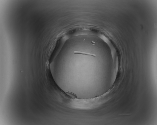 X0000085070045200703121651