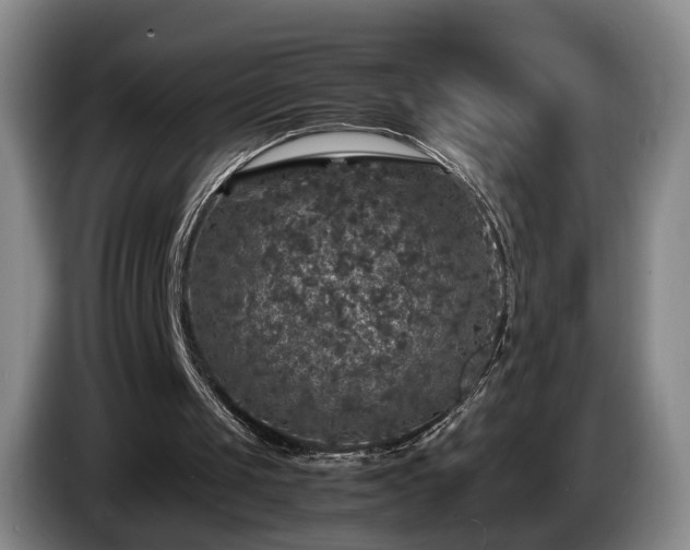 X0000085070049200703121650