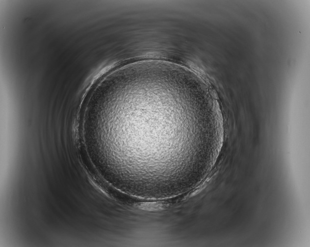 X0000085070050200703121650