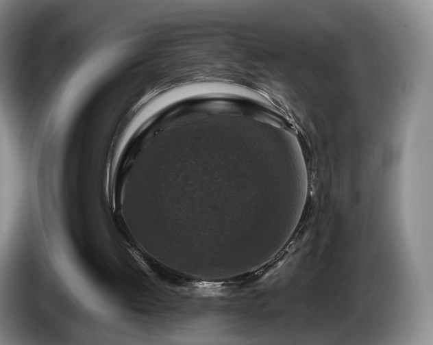 X0000085070052200703121650