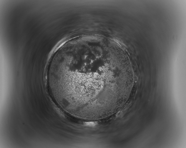 X0000085070053200703121650