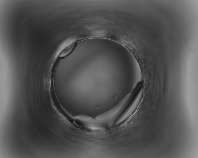 X0000085070054200703121650