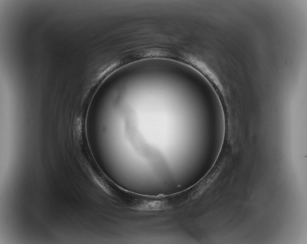 X0000085070057200703121650