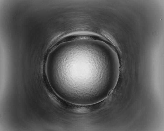 X0000085070058200703121650