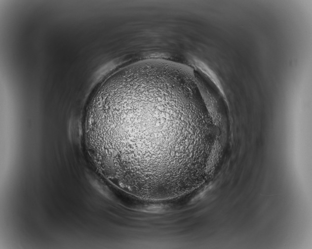 X0000085070059200703121650