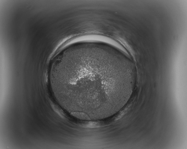 X0000085070060200703121650