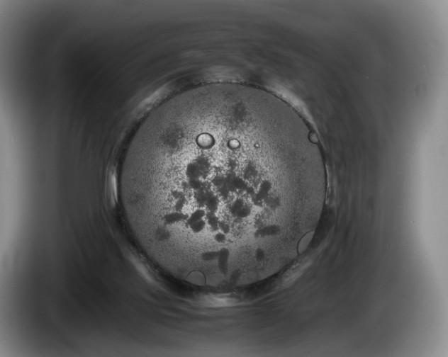 X0000085070061200703121650