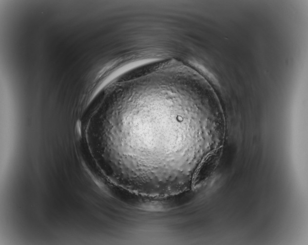 X0000085070062200703121650