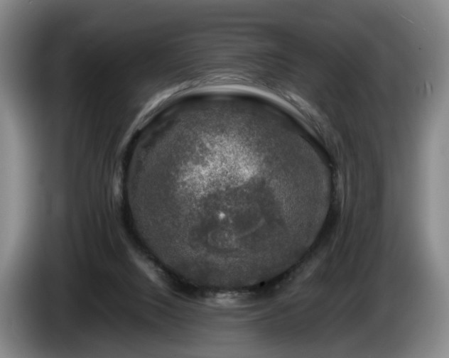 X0000085070064200703121650