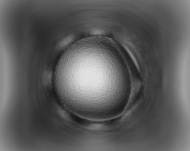 X0000085070066200703121650