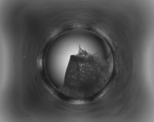 X0000085070067200703121650