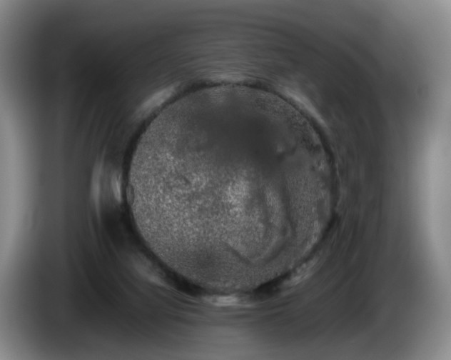 X0000085070068200703121650