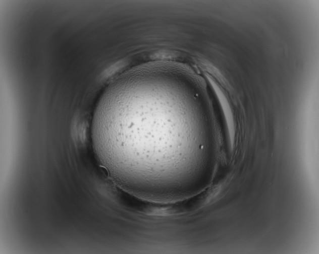 X0000085070071200703121650