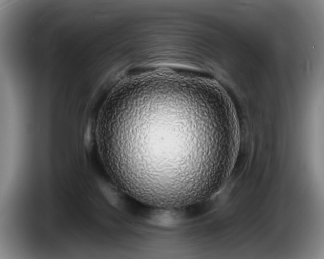 X0000085070074200703121651