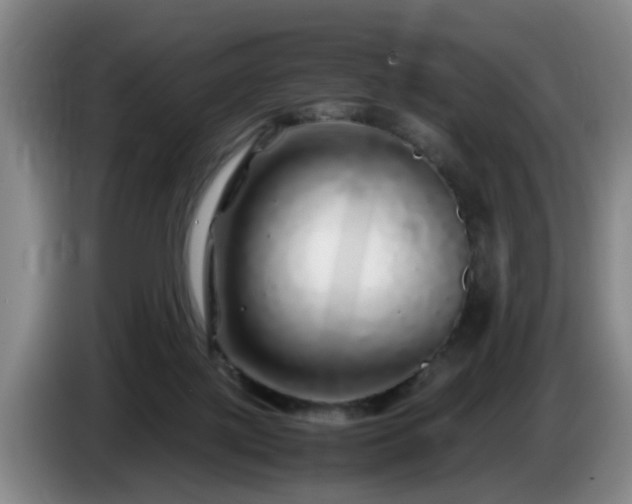 X0000085070075200703121651