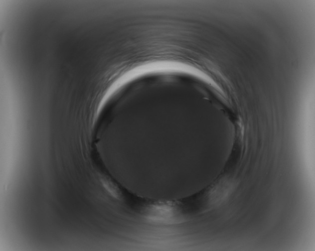 X0000085070076200703121651