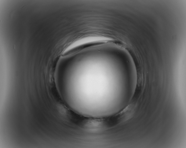 X0000085070078200703121651