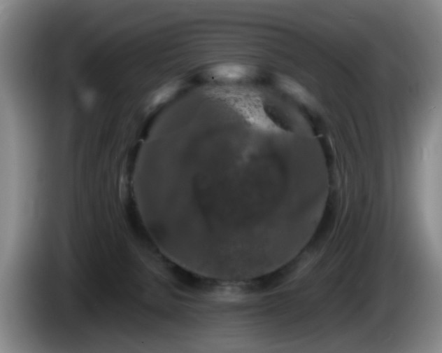 X0000085070080200703121651