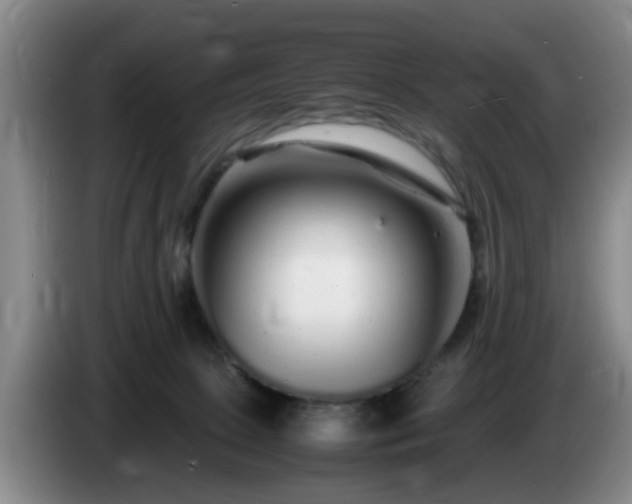 X0000085070081200703121651