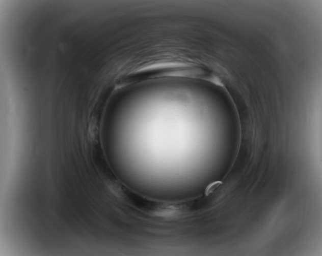 X0000085070083200703121651