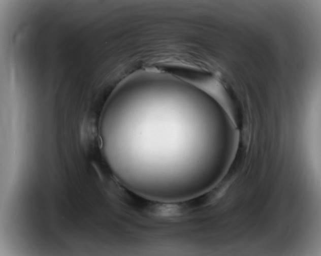 X0000085070085200703121651