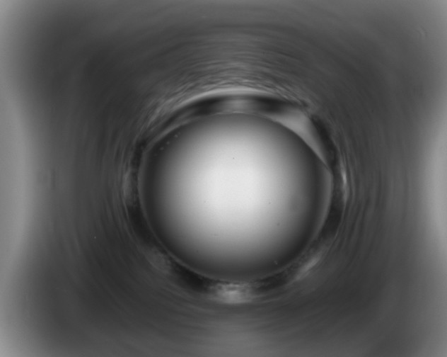 X0000085070088200703121651