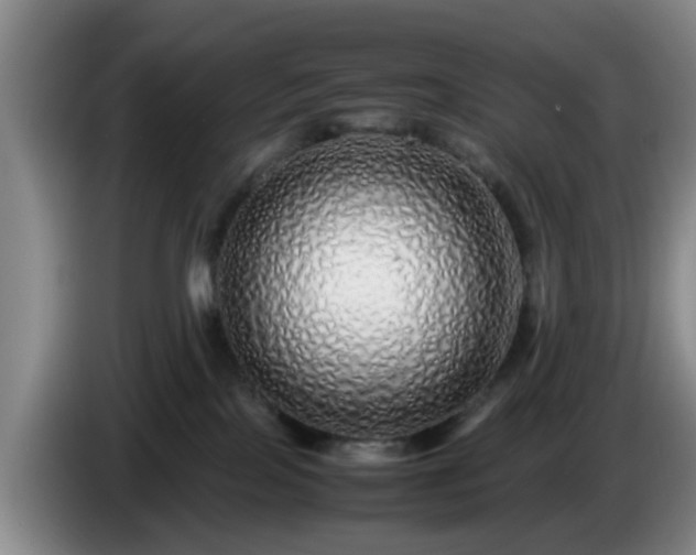 X0000085070089200703121651