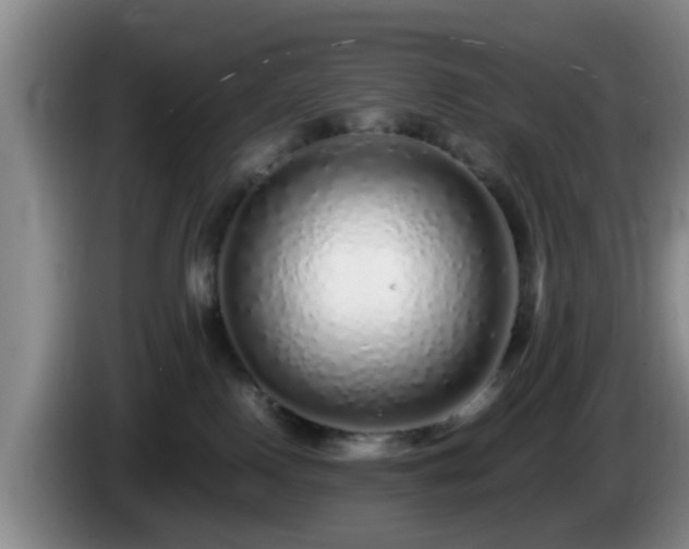 X0000085070090200703121651