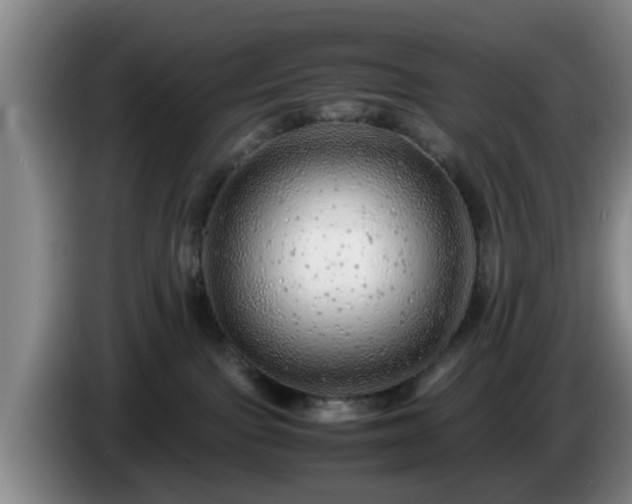 X0000085070091200703121651