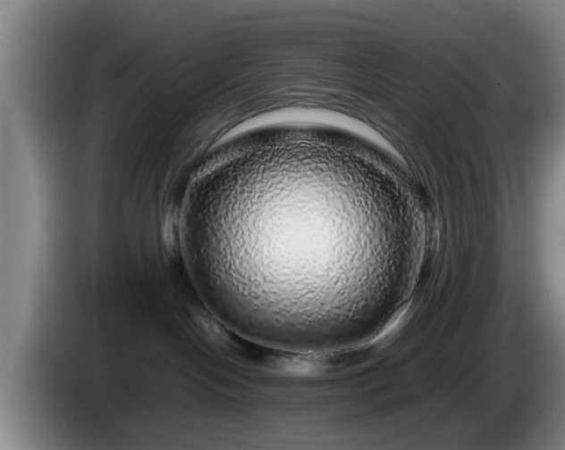 X0000085070094200703121651