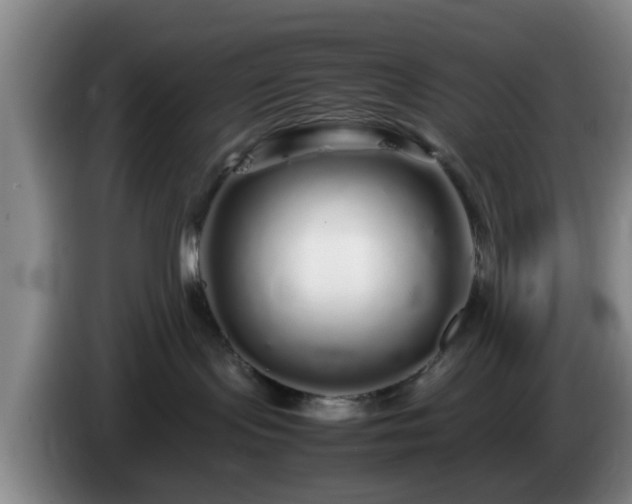 X0000085070095200703121651