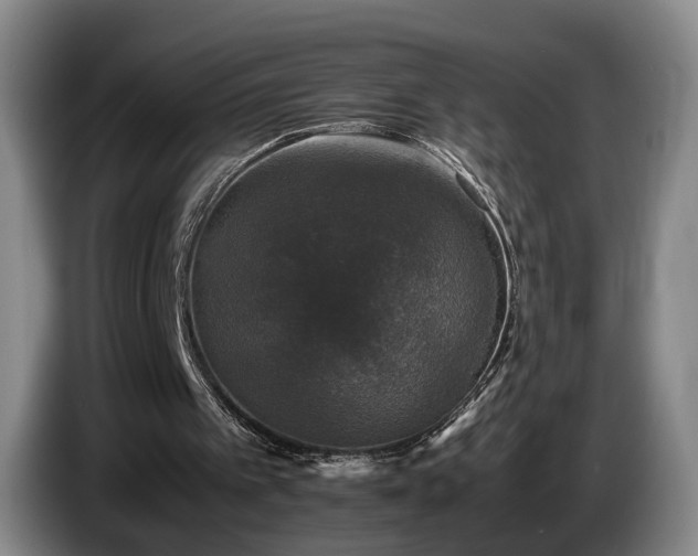 X0000085070097200703121650