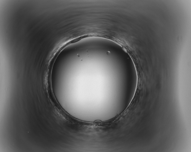 X0000085070098200703121650