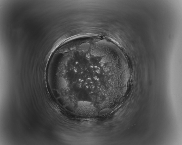 X0000085070099200703121650